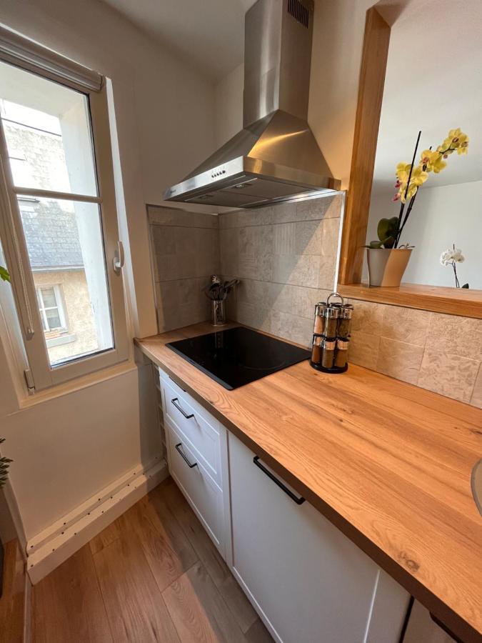 • Bel Appartement - Centre Historique De Poitiers Eksteriør bilde