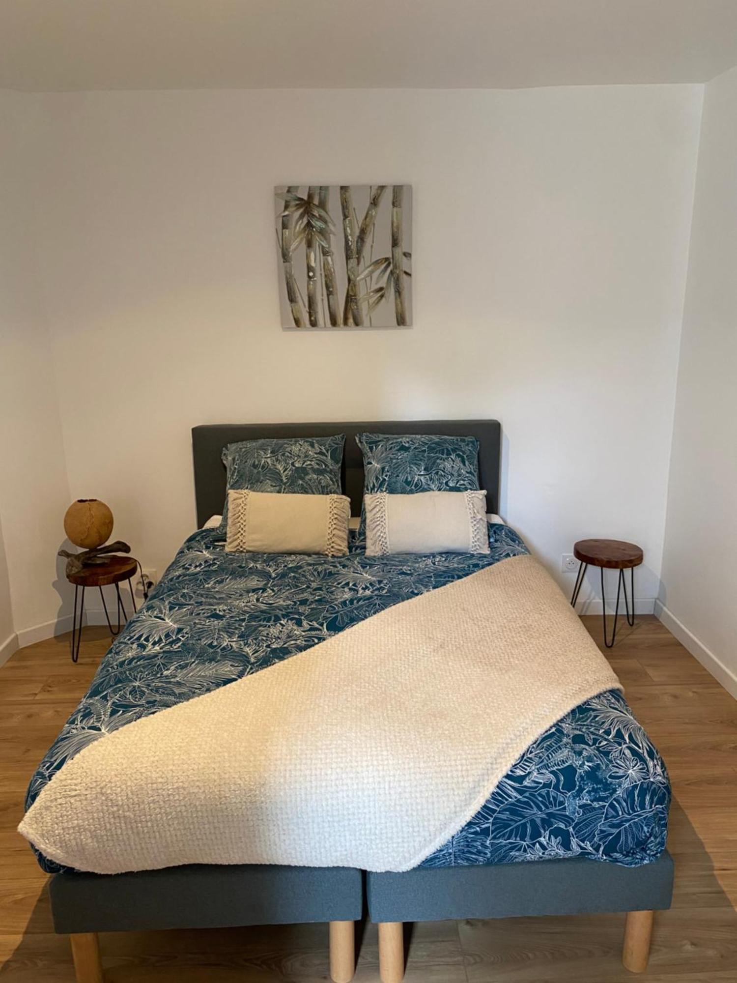 • Bel Appartement - Centre Historique De Poitiers Eksteriør bilde